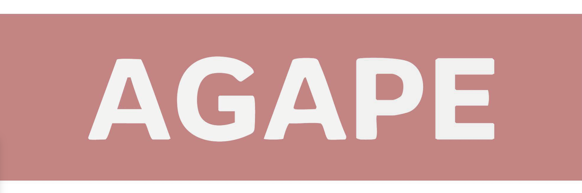 Logo-rectangle-rose-fond-blanc-agape