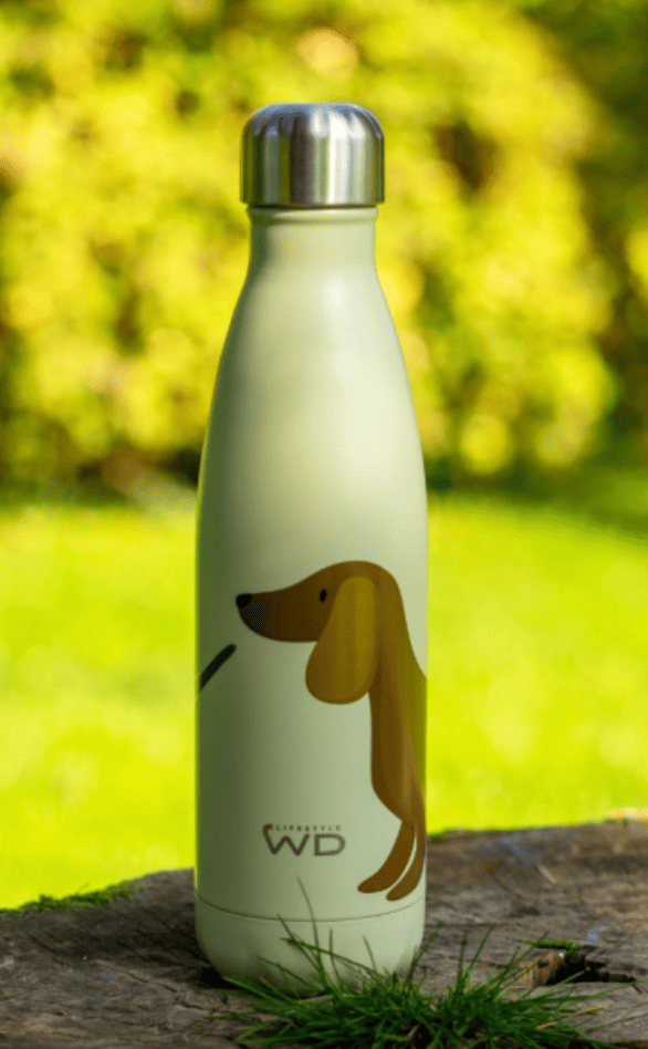 Gourde isotherme verte avec un dessin de chien dessus