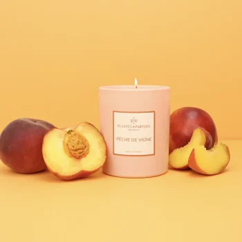 Bougie senteur Pêche de vigne