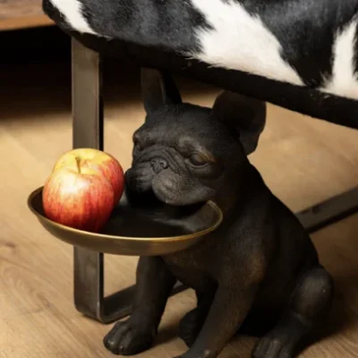 Chien avec un plateau dans la bouche