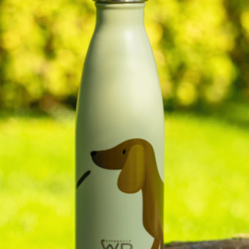Gourde isotherme verte avec un dessin de chien dessus